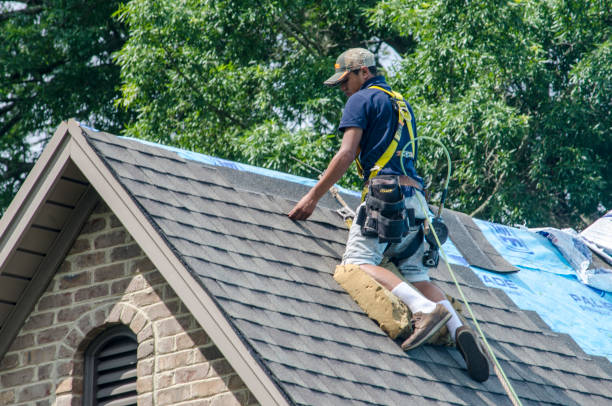 Best Roof Repair Specialists  in Sunnyside, GA
